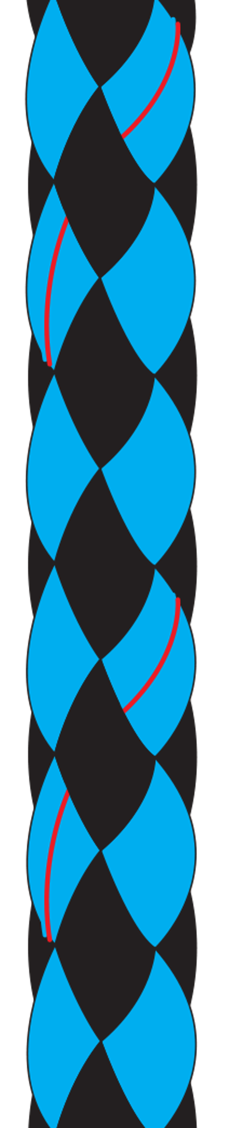 Evolution 8 Plait Pre-Stretched Blue/Black