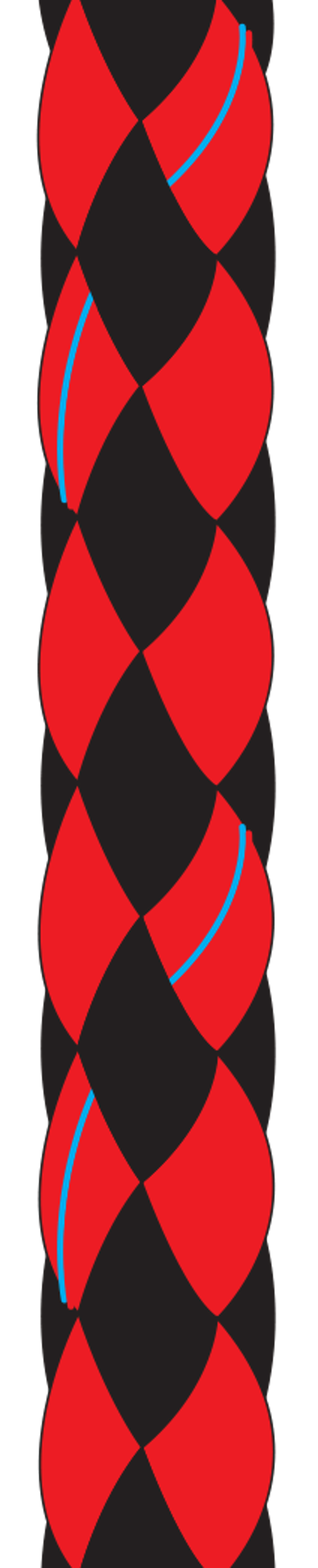 Evolution 8 Plait Pre-Stretched Red/Black