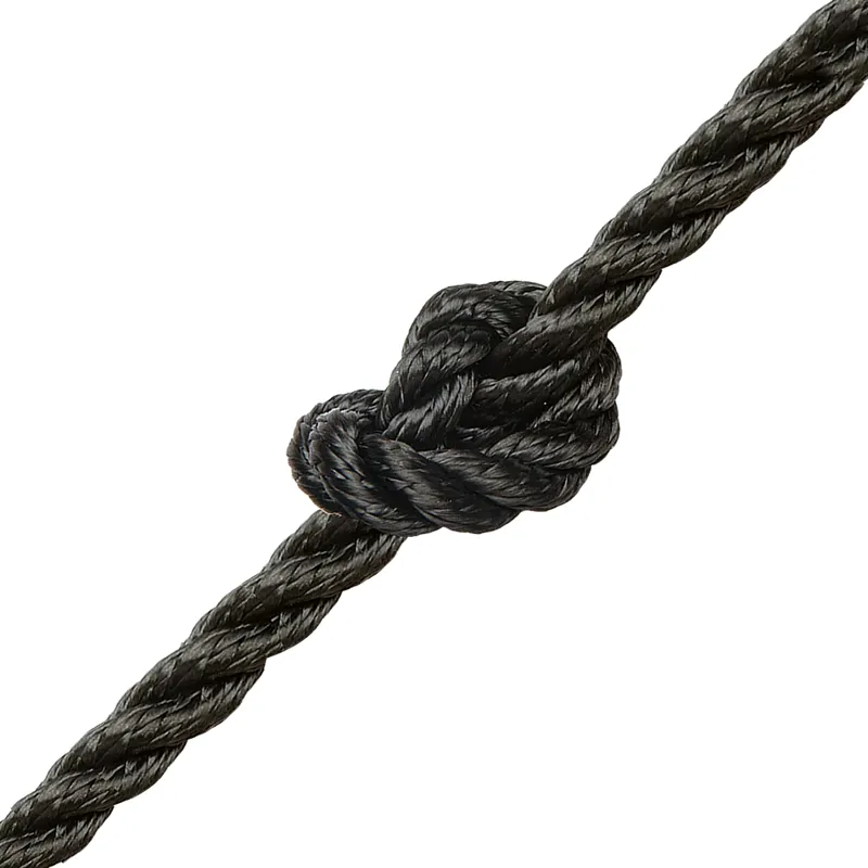 Kingfisher 3 Strand Polyester Black Rope in Black