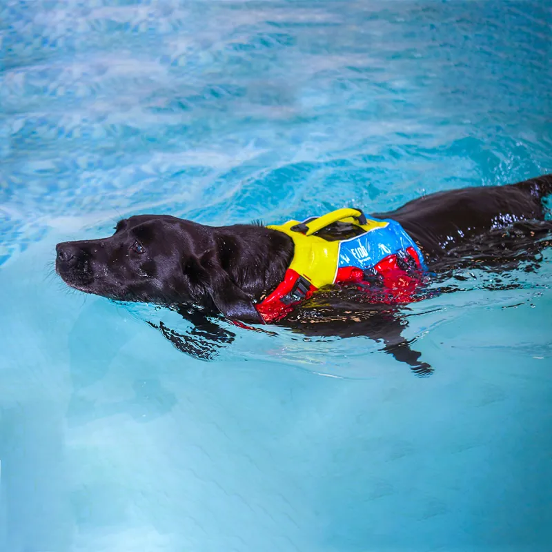 Spinlock FIDO Dog Flotation Aid M-11