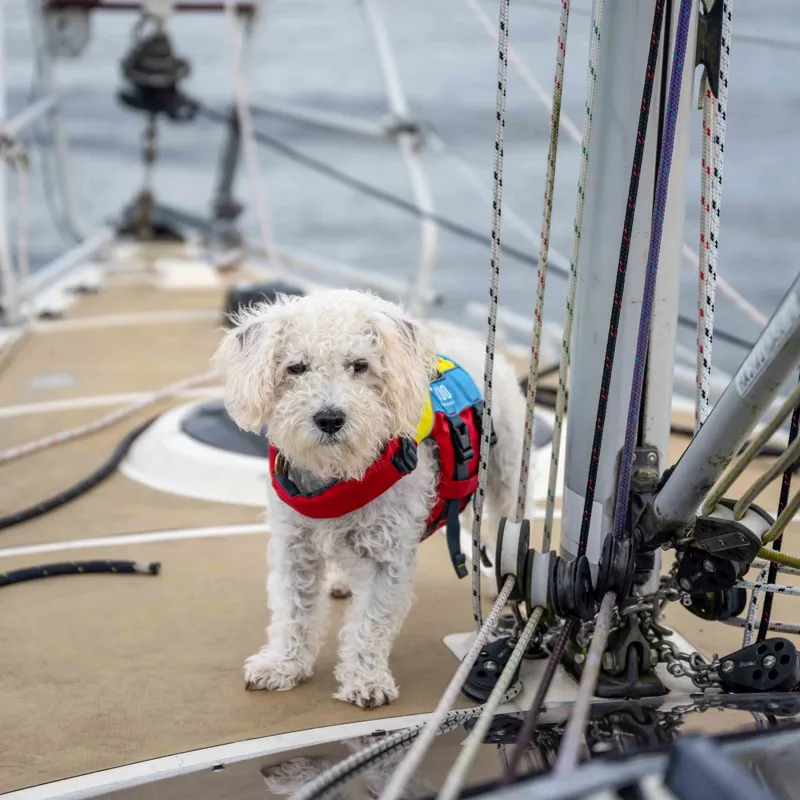 Spinlock FIDO Dog Flotation Aid S-7