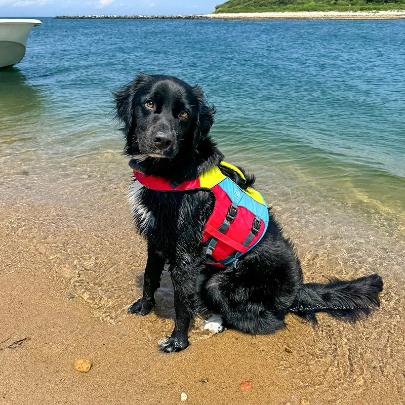 Spinlock FIDO Dog Flotation Aid S-8