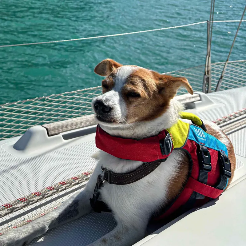 Spinlock FIDO Dog Flotation Aid S-9